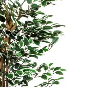 PLANTASIA 27406 Umelý strom rastlina - fikus - 160 cm