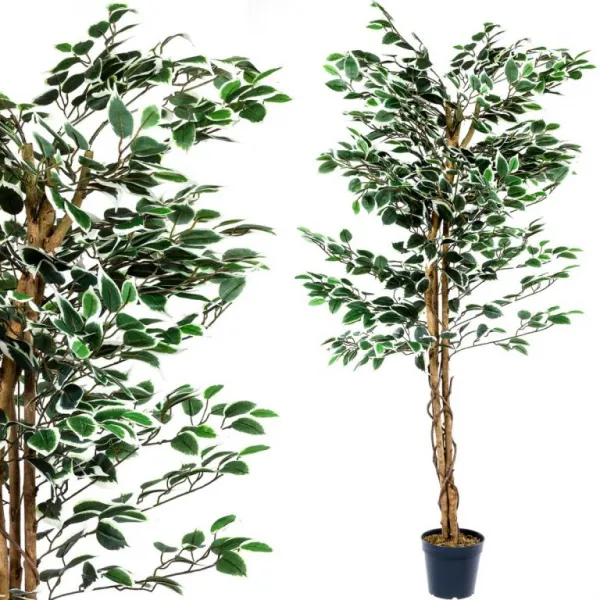 PLANTASIA 27406 Umelý strom rastlina - fikus - 160 cm