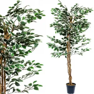 PLANTASIA 27406 Umelý strom rastlina - fikus - 160 cm