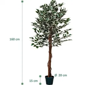 PLANTASIA 27406 Umelý strom rastlina - fikus - 160 cm