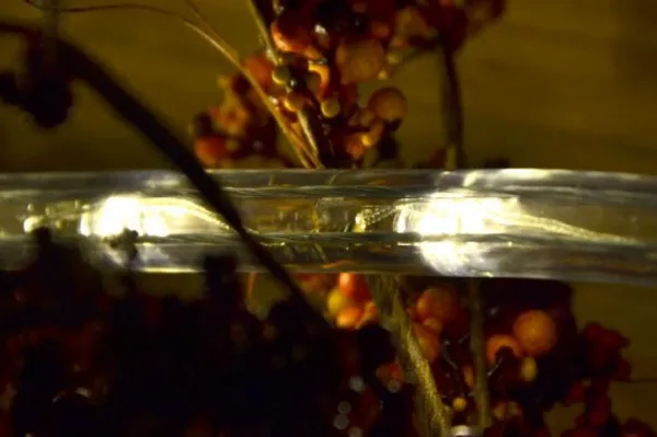 Nexos 1036 LED svetelný kábel 20 m - teple biela, 480 diód