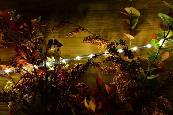 Nexos 1036 LED svetelný kábel 20 m - teple biela, 480 diód