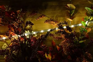 Nexos 1036 LED svetelný kábel 20 m - teple biela, 480 diód