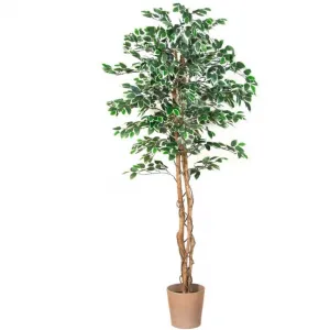 PLANTASIA 1654 Umelá kvetina - fikus - 190 cm