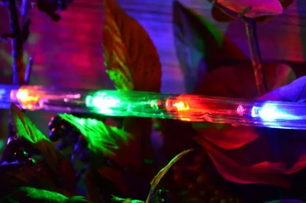Nexos 825 LED svetelný kábel 10 m - farebná, 240 diód