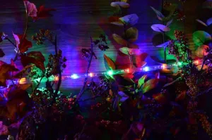 Nexos 825 LED svetelný kábel 10 m - farebná, 240 diód
