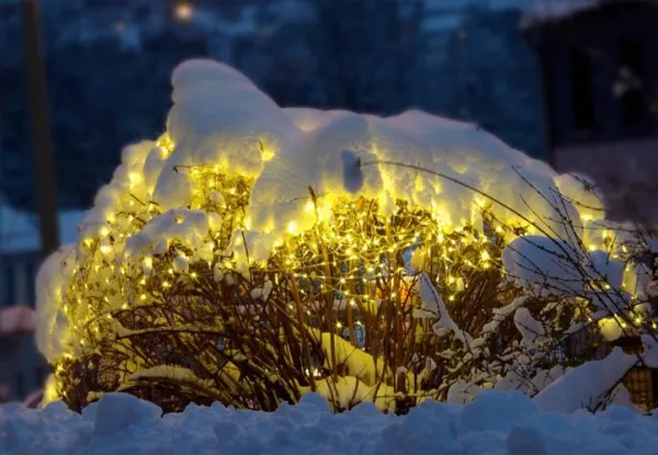 Nexos 2181 diLED svetelná sieť - 100 LED teplá biela + napájanie