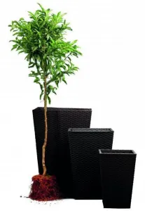 Kvetináč Rattan Planter M hnedý