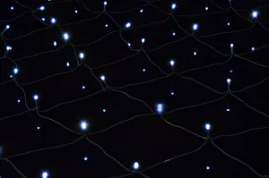 Nexos 39399 Svetelná sieť 1,5 x 1,5 m, 100 LED, studená biela