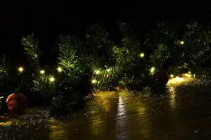 Nexos 39236 Vianočná reťaz - 9,9 m, 100 LED, 9 blikajúcich funkcií