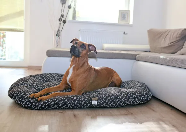Petsy pelech pre psa Lasky Deluxe - 120 cm