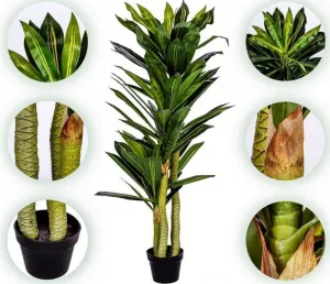 PLANTASIA 85196 Umělý strom Dracaena 120 cm, 81 listů