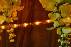Nexos 575 LED svetelný kábel 20 m - žltá, 480 diód