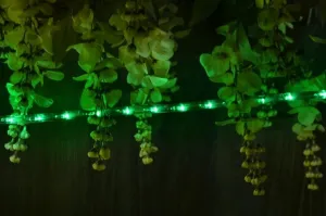 Nexos 552 LED svetelný kábel 20 m - zelená, 480 diód