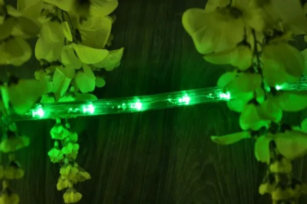 Nexos 552 LED svetelný kábel 20 m - zelená, 480 diód