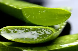 ESI Aloe vera šťava Colon Cleanse 1 liter