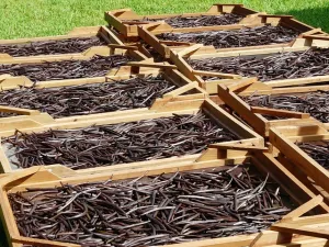 Good Nature Zlatý dúšok - Zelená káva s vanilkou 100 g