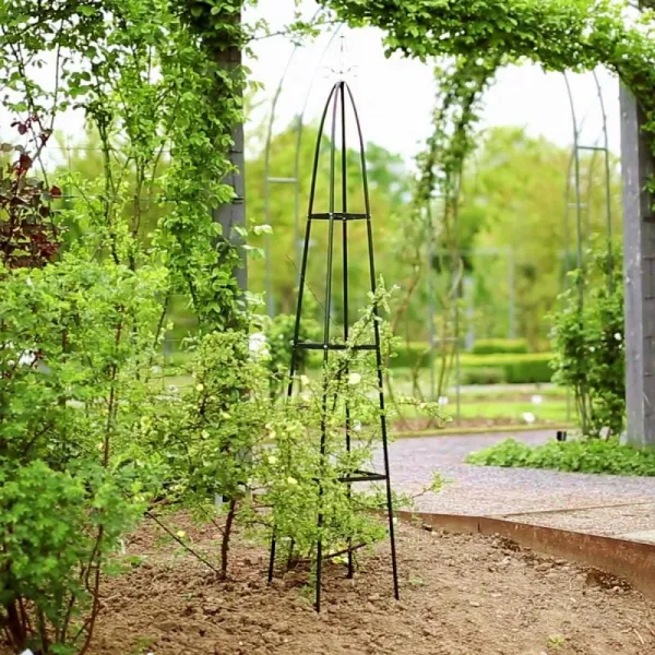 Záhradná pergola pyramída 31 X 31 X 200 cm | jaks
