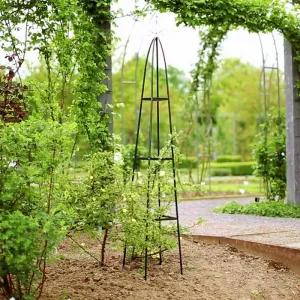 Záhradná pergola pyramída 31 X 31 X 200 cm | jaks