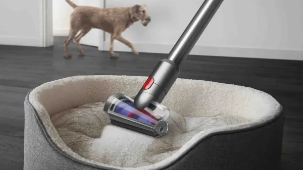 Dyson V12 Detect Slim Absolute 2023
