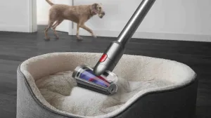Dyson V12 Detect Slim Absolute 2023