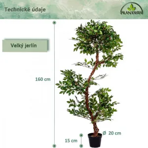 PLANTASIA Umelý strom jerlín, 160 cm