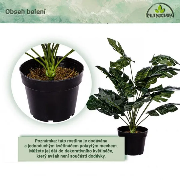 PLANTASIA Umelá rastlina monstera, 60 cm