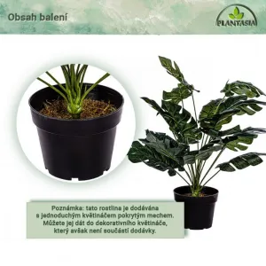 PLANTASIA Umelá rastlina monstera, 60 cm