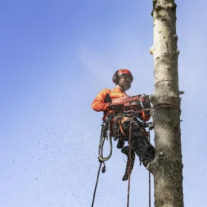 HUSQVARNA Zverák lišty
