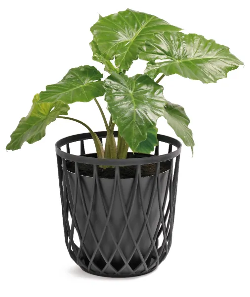 Prosperplast Univerzálny kôš BILBO biely, varianta 35 l
