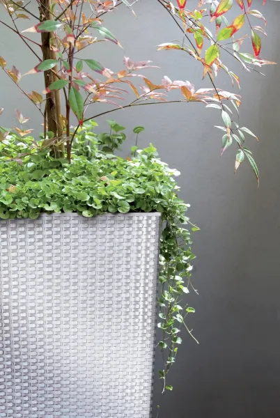 NABBI DRTS200 plastový kvetináč 20 cm biela