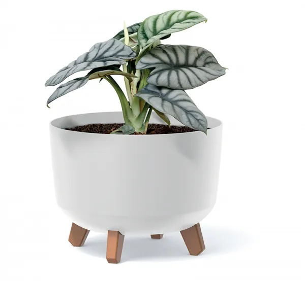 Prosperplast Kvetináč Gracyeen biely, varianta 38 cm