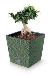 Prosperplast Kvetináč FUSU V modrý, varianta 30 cm