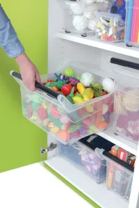 Prosperplast Úložný box NIKKI 480x177x256