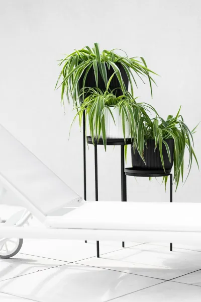 Prosperplast Květinový stojan TOLA STAND 50 cm černý