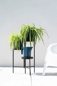 Prosperplast Květinový stojan TOLA STAND 50 cm černý