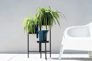 Prosperplast Květinový stojan TOLA STAND 50 cm černý