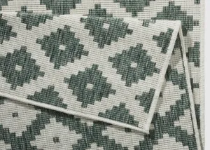 NORTHRUGS - Hanse Home koberce Kusový koberec Twin-Wendeteppiche 103125 grün creme – na von aj na doma - 80x350 cm