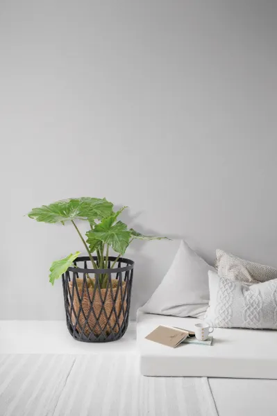 Prosperplast Univerzální koš s jutovým pytlem QUBO 39 cm šedý