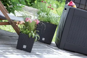 Prosperplast Kvetináč Rato Flat hnedý, varianta 17 cm