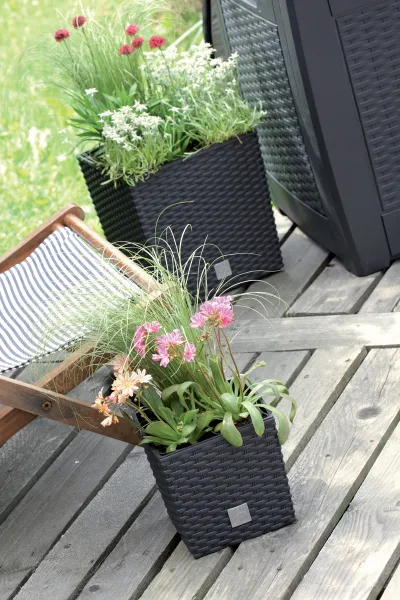 Prosperplast Kvetináč Rato Flat hnedý, varianta 17 cm