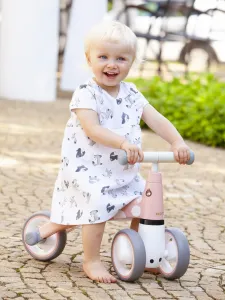 WELLHOX Balančný bicykel "Flamingo"