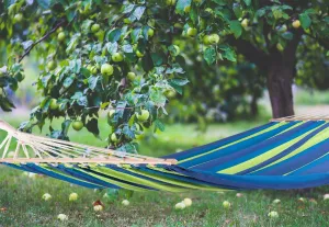 Bluegarden Hojdacia sieť Lena modrá