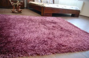 Dywany Lusczow Kusový koberec LOVE SHAGGY fialový, veľkosť 250x350