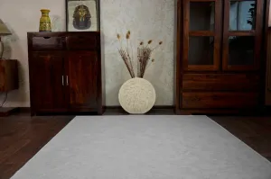 Dywany Lusczow Kusový koberec SERENADE Hagy strieborný, veľkosť 100x400
