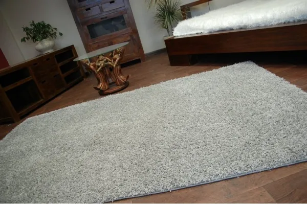 Dywany Lusczow Kusový koberec SHAGGY Izebelie 5 cm sivý, veľkosť 60x100