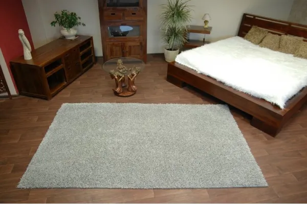 Dywany Lusczow Kusový koberec SHAGGY Izebelie 5 cm sivý, veľkosť 60x100