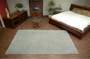 Dywany Lusczow Kusový koberec SHAGGY Izebelie 5 cm sivý, veľkosť 60x100