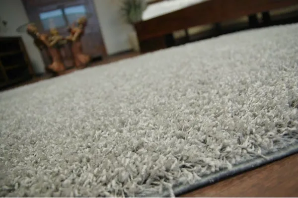 Dywany Lusczow Kusový koberec SHAGGY Izebelie 5 cm sivý, veľkosť 60x100