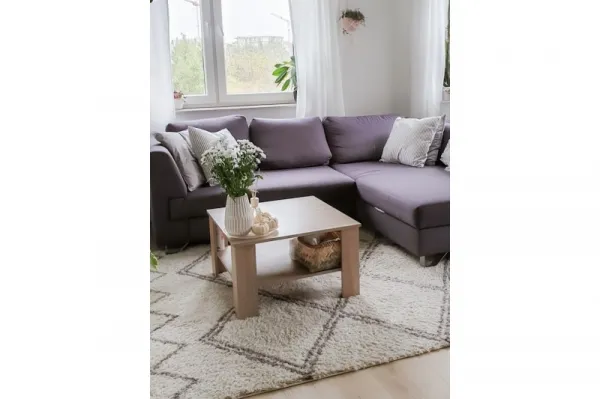 Dywany Lusczow Kusový shaggy koberec BERBER ASILA krémový, veľkosť 200x290